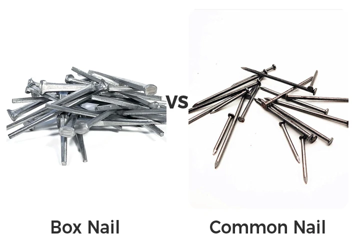 Box Nail vs Common Nail: A Comprehensive Guide for Builders, Contractors, and DIY Enthusiasts