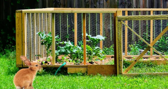 Galvanized-Wire4 (1)