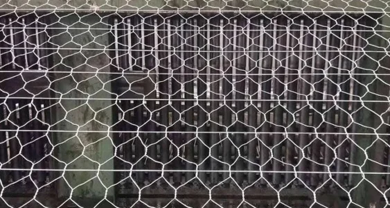 Hexagonal-Wire-Netting2