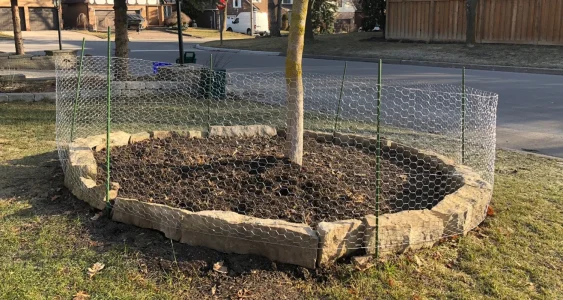 Hexagonal-Wire-Netting3